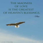 The-madness-of-love-is-the-greatest-of-heavens-blessings-quote-image